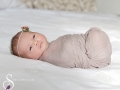 DSC_7391-copy