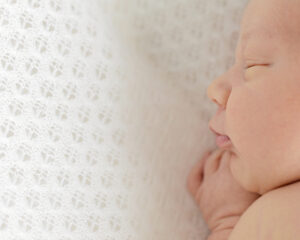 Newborn portraits